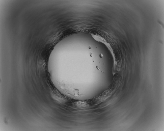 X0000096640279200802191226