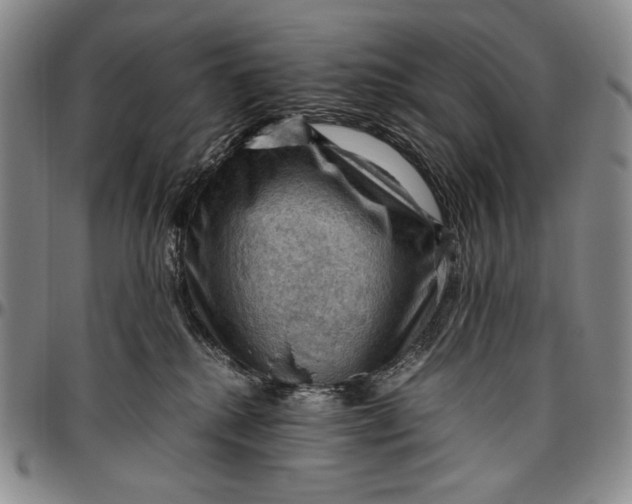 X0000096640280200802191226