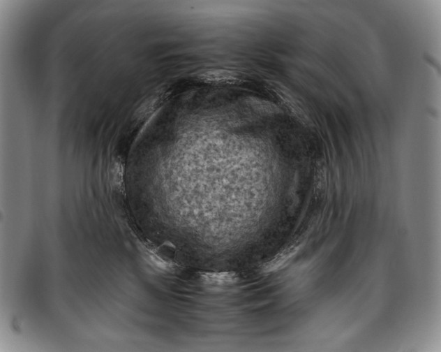 X0000096640281200802191226