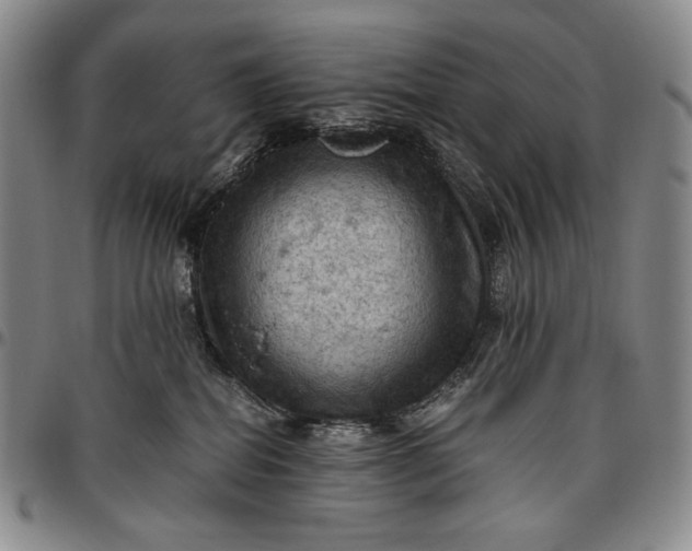 X0000096640282200802191226