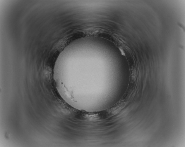 X0000096640283200802191226