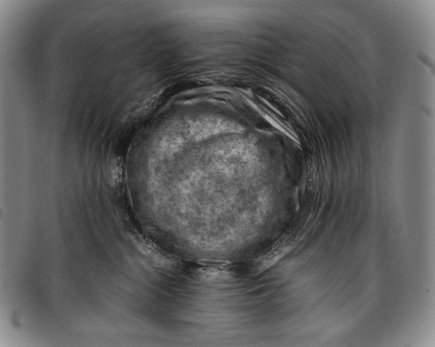 X0000096640284200802191226