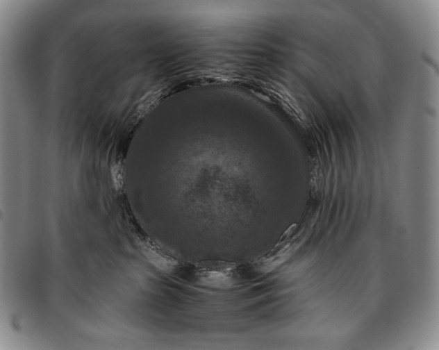 X0000096640285200802191226