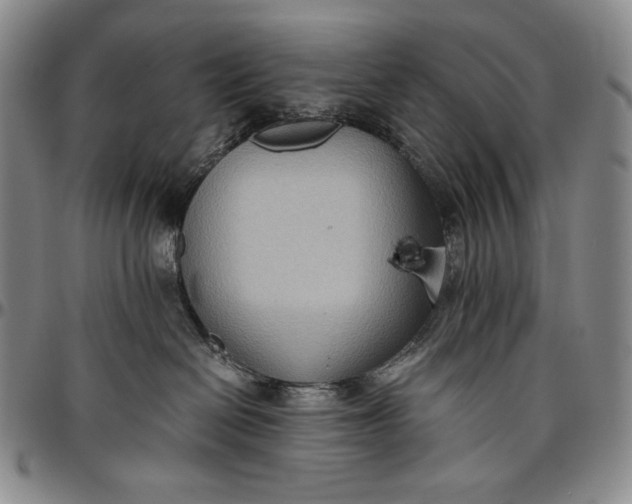 X0000096640286200802191226