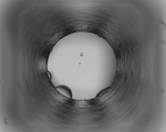 X0000096640287200802191226