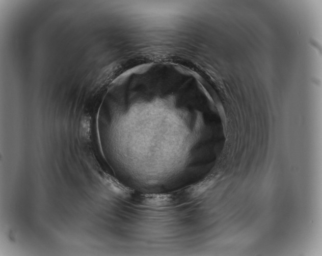 X0000096640288200802191226