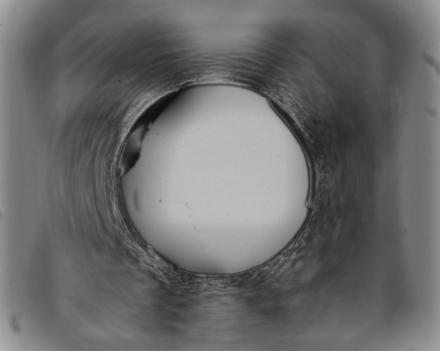 X0000096640289200802191226