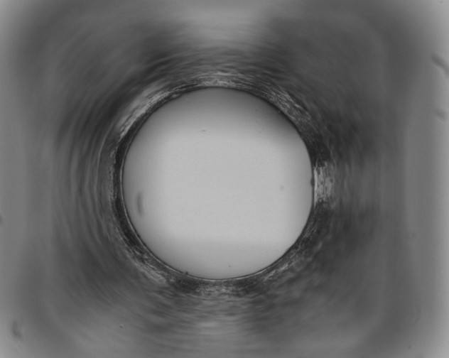 X0000096640291200802191226