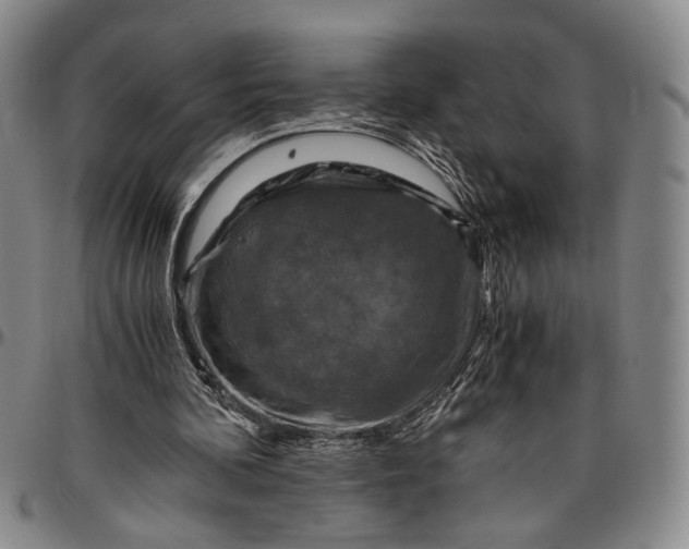 X0000096640292200802191226