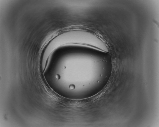 X0000096640293200802191226