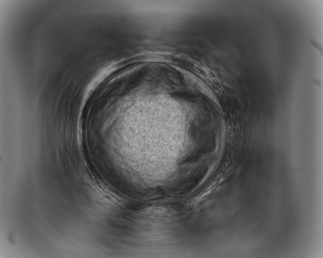 X0000096640294200802191226