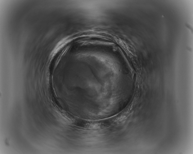 X0000096640295200802191226