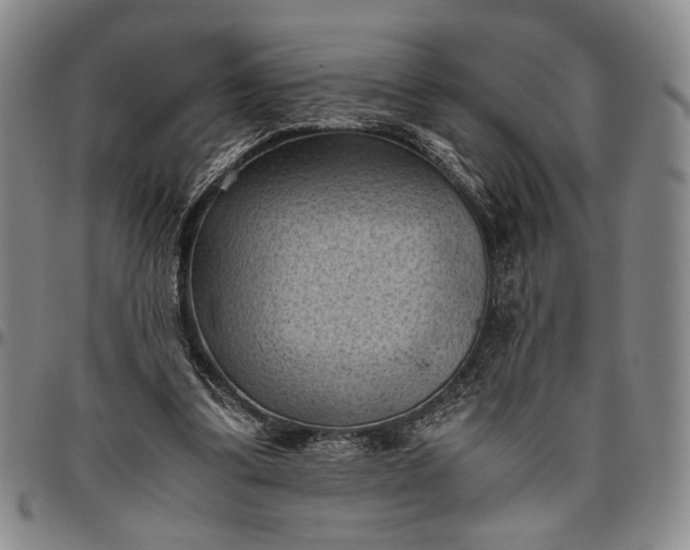 X0000096640299200802191226