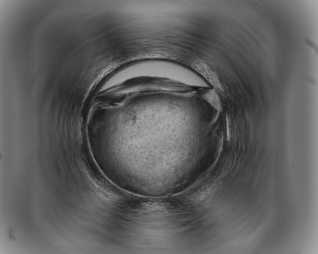 X0000096640300200802191226