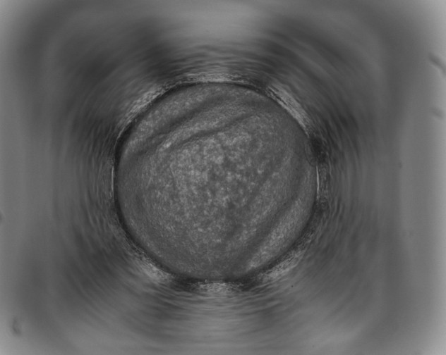 X0000096640301200802191226