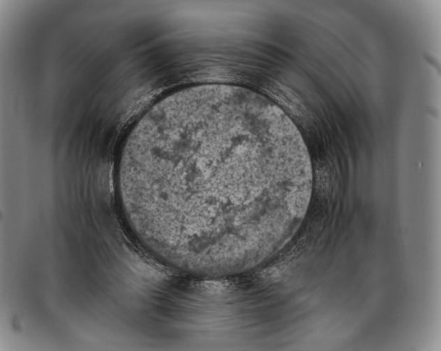 X0000096640302200802191226