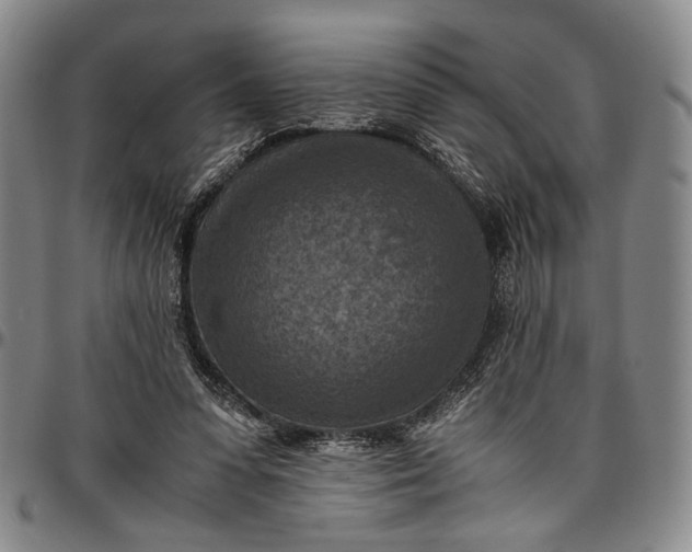 X0000096640303200802191226