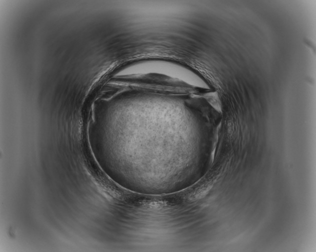 X0000096640304200802191226