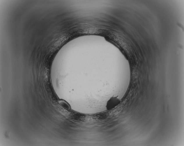 X0000096640305200802191226