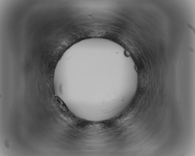 X0000096640307200802191226