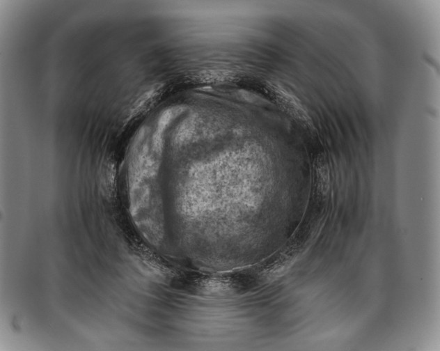 X0000096640308200802191226