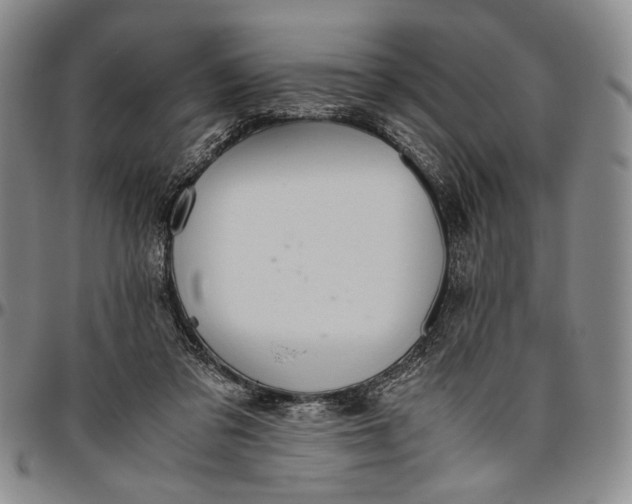 X0000096640309200802191225