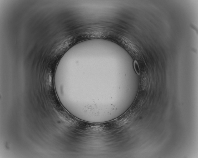 X0000096640310200802191225