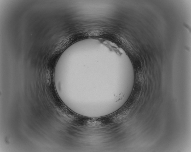 X0000096640311200802191225