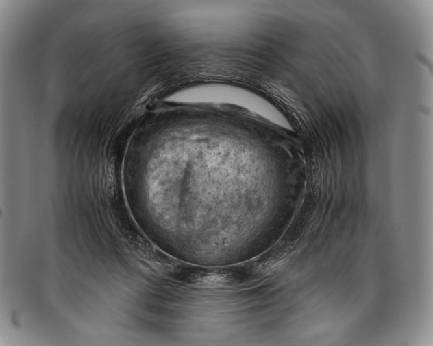 X0000096640312200802191225