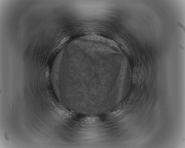 X0000096640314200802191225