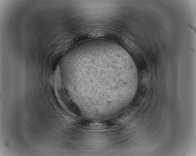 X0000096640315200802191225