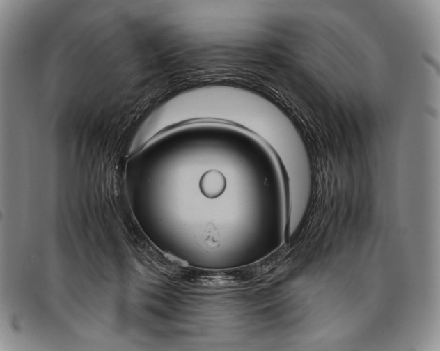 X0000096640316200802191225