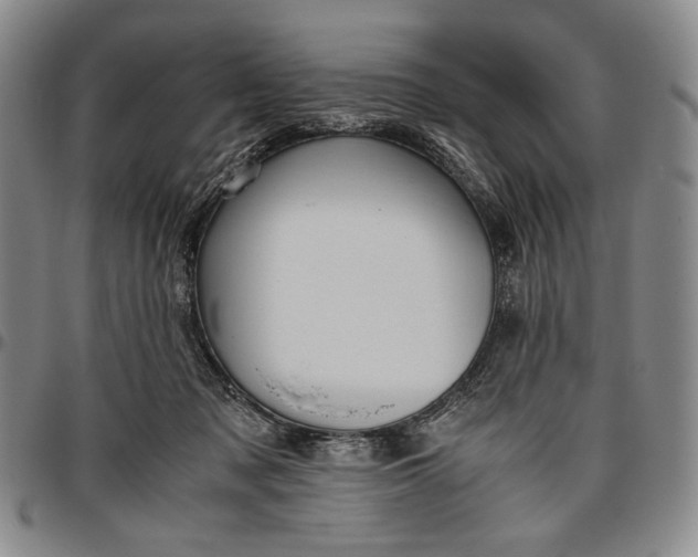 X0000096640317200802191225