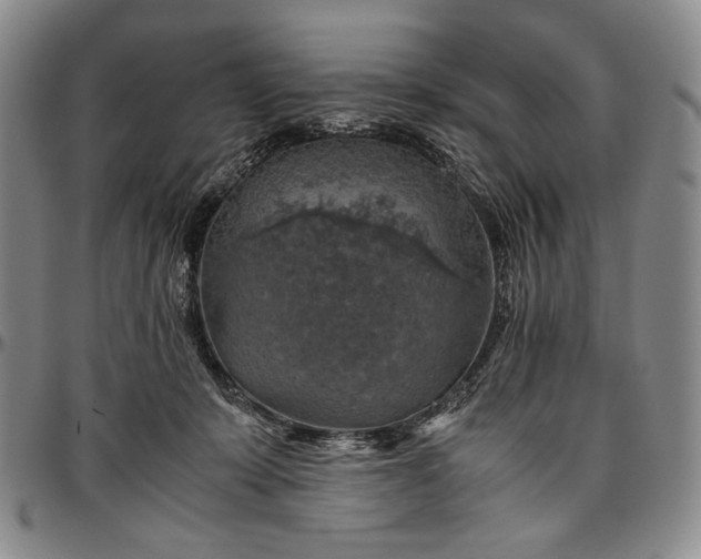 X0000096640319200802191225