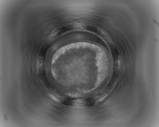 X0000096640320200802191225