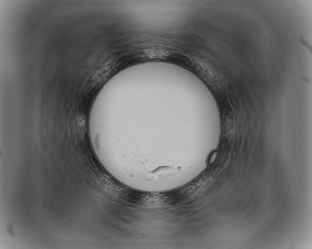 X0000096640321200802191225