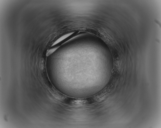 X0000096640323200802191225