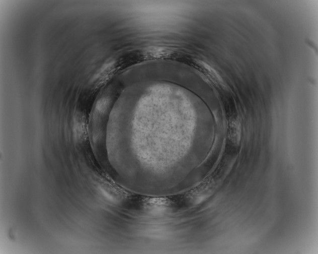 X0000096640324200802191225