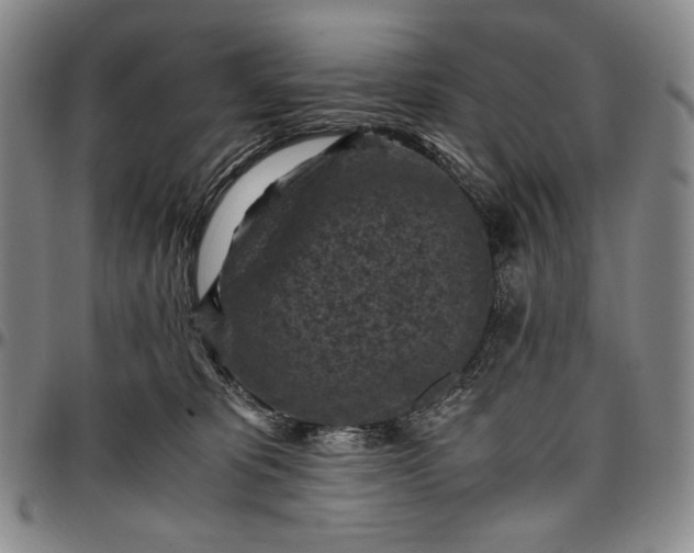 X0000096640325200802191225