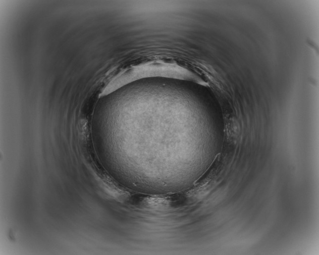 X0000096640327200802191225