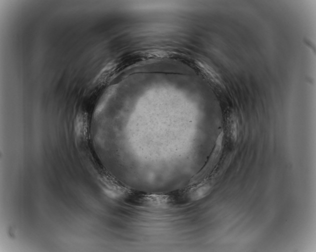 X0000096640328200802191225