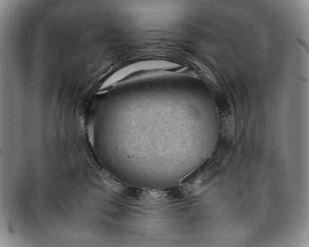 X0000096640329200802191225