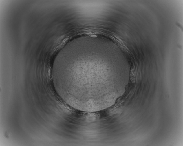 X0000096640330200802191225