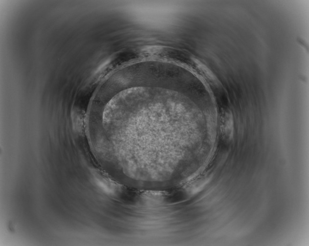 X0000096640332200802191225