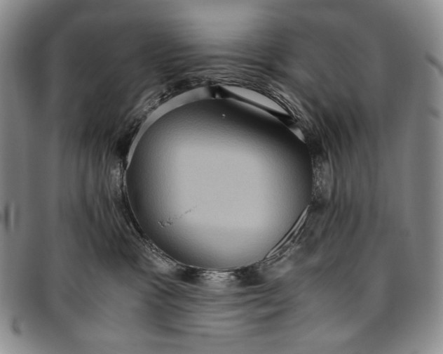 X0000096640333200802191225