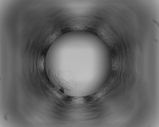 X0000096640334200802191225