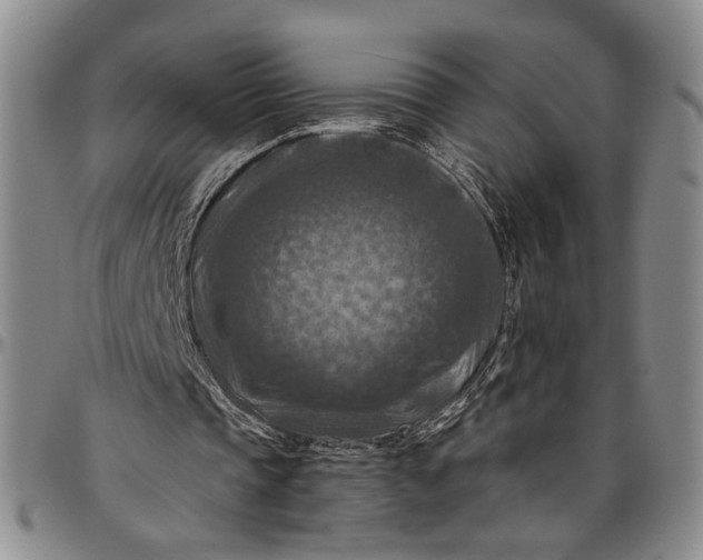 X0000096640337200802191224