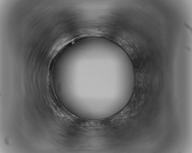 X0000096640338200802191224