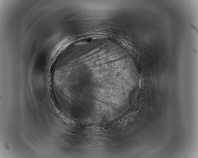 X0000096640339200802191224