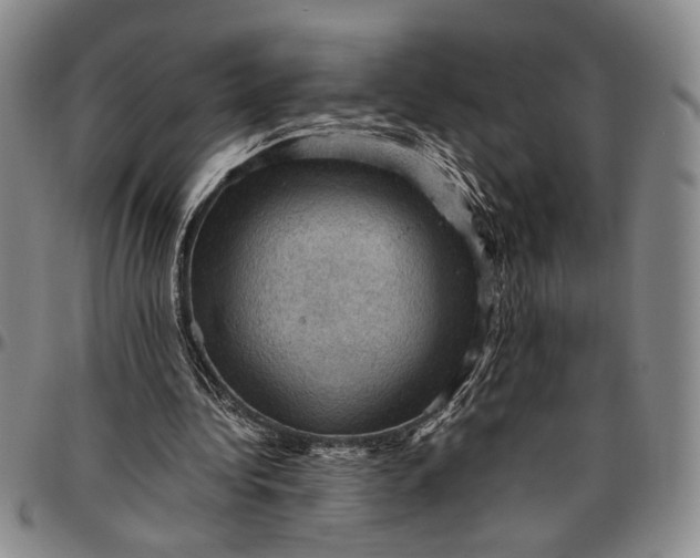 X0000096640340200802191225